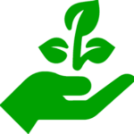 An icon of a hand holding a plant on a clear background